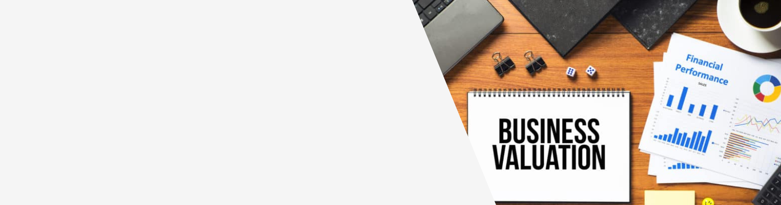 CA Reports in India A Comprehensive Guide